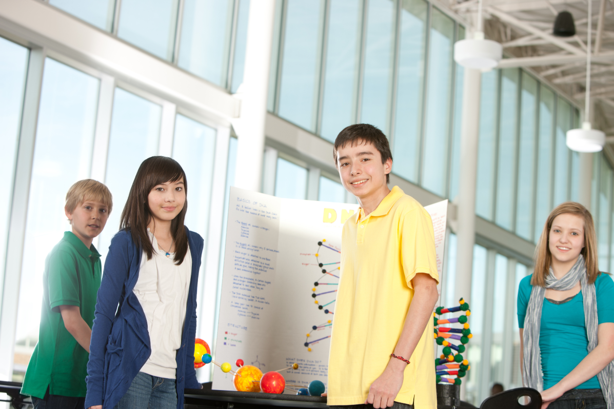 MYP results preview.png